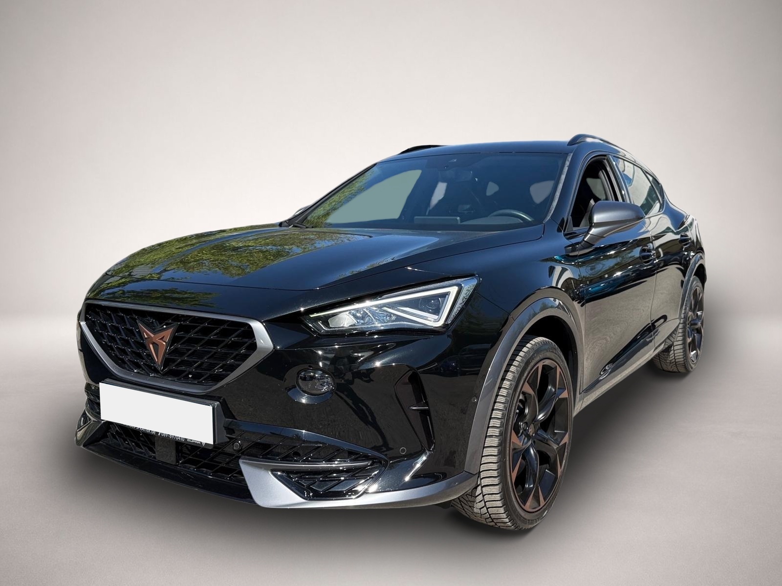 Fotografie 1 des Cupra Formentor VZ 2.0 TSI DSG 4Drive ACC Leder Beats