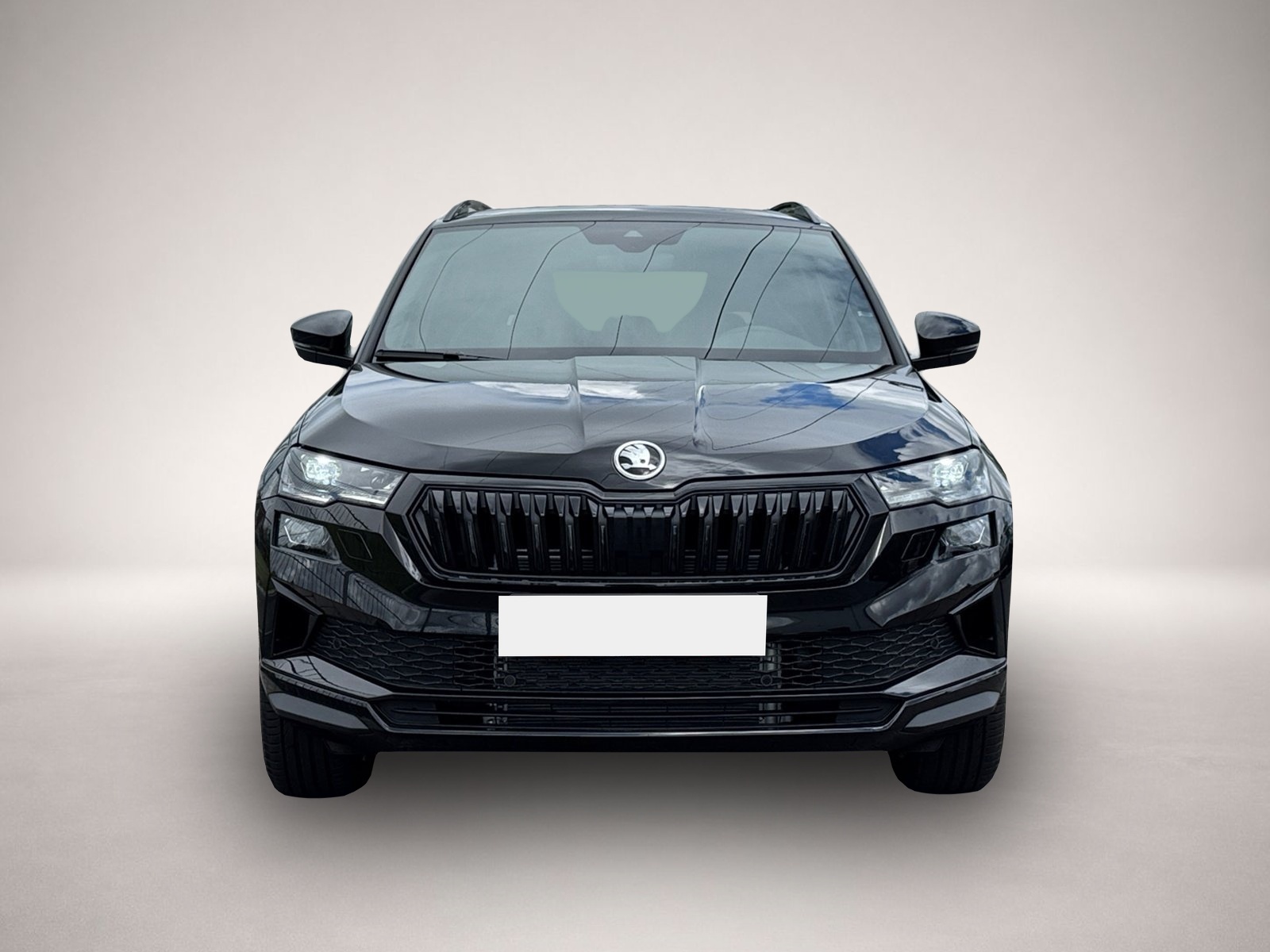 Bild 2 Skoda Karoq Sportline 4x4 TSI DSG