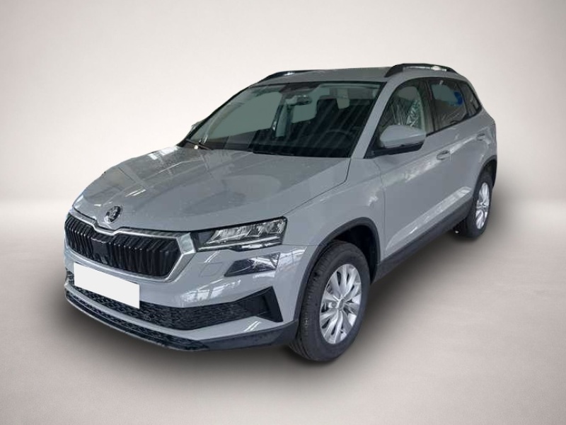 Bild Karoq Skoda