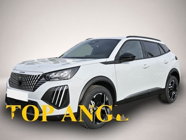 Bild 2008 Peugeot