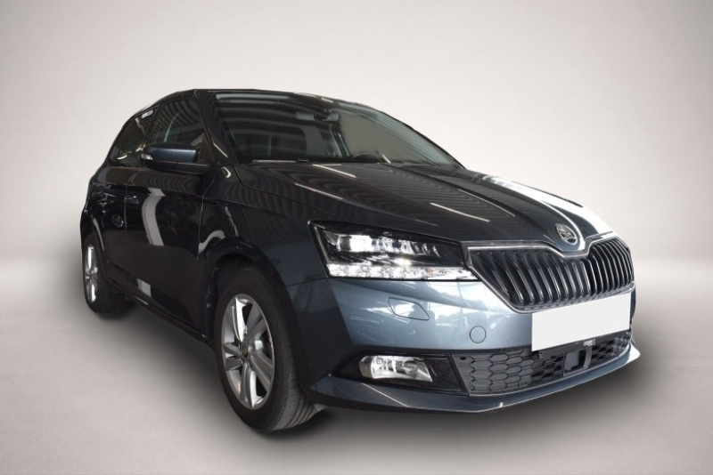 Bild 7 Skoda Fabia 1.0 TSI Style Climatronic Kamera Sitzhzg