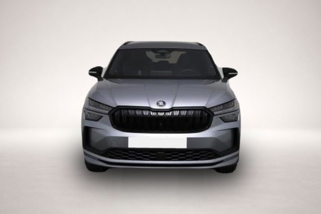 Bild Kodiaq Skoda