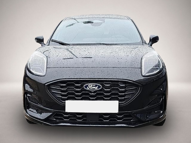 Bild Puma Ford