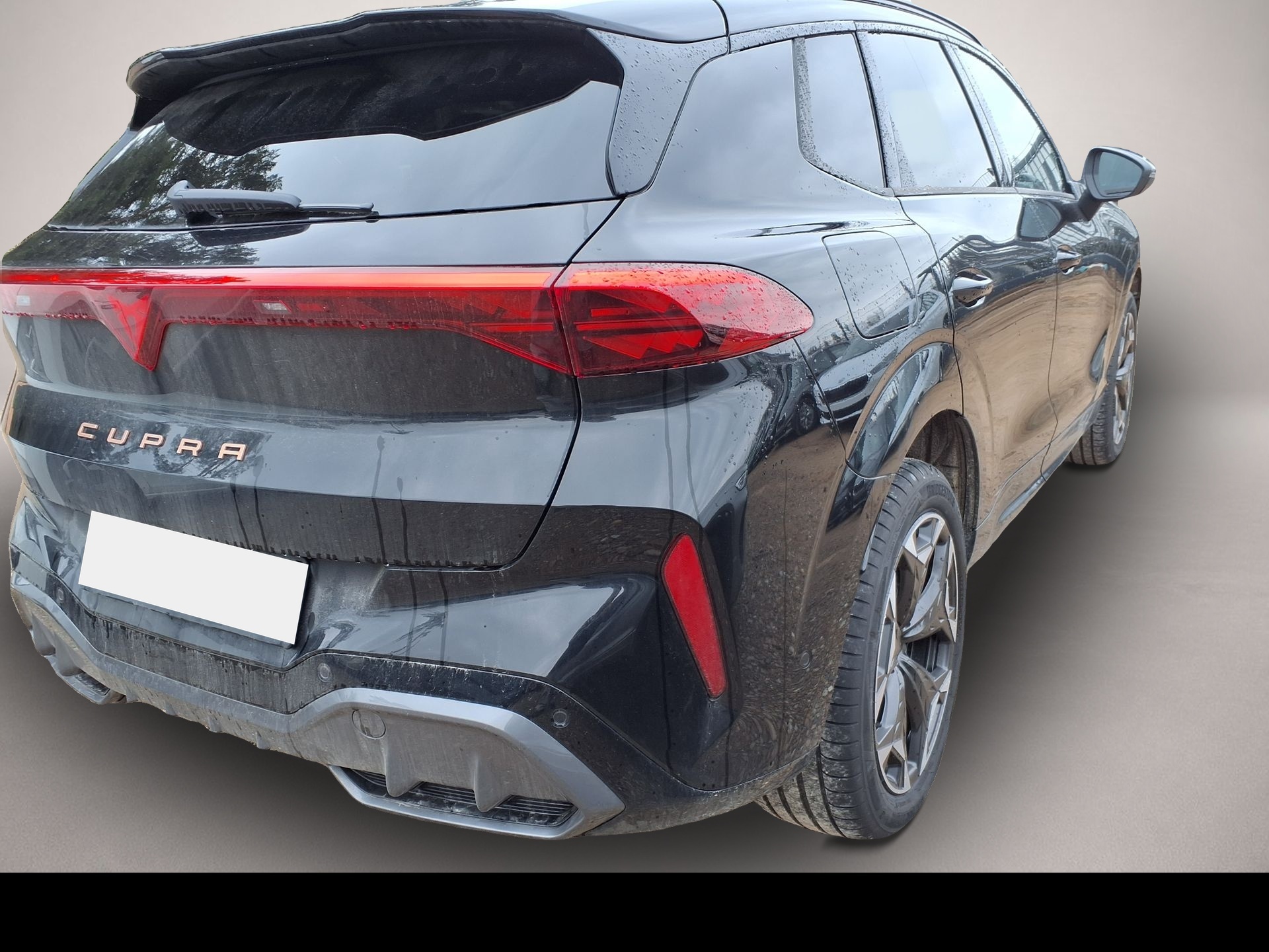 Bild 3 Cupra Terramar CUPRA VZ 2.0 TSI 195 kW (265 PS) 7-Gang