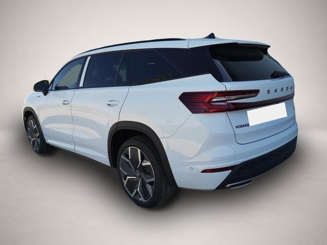 Bild 1 Skoda Kodiaq 2.0 TDI 142 kW 4x4 Sportline Kodiaq 2.0 TDI DSG.