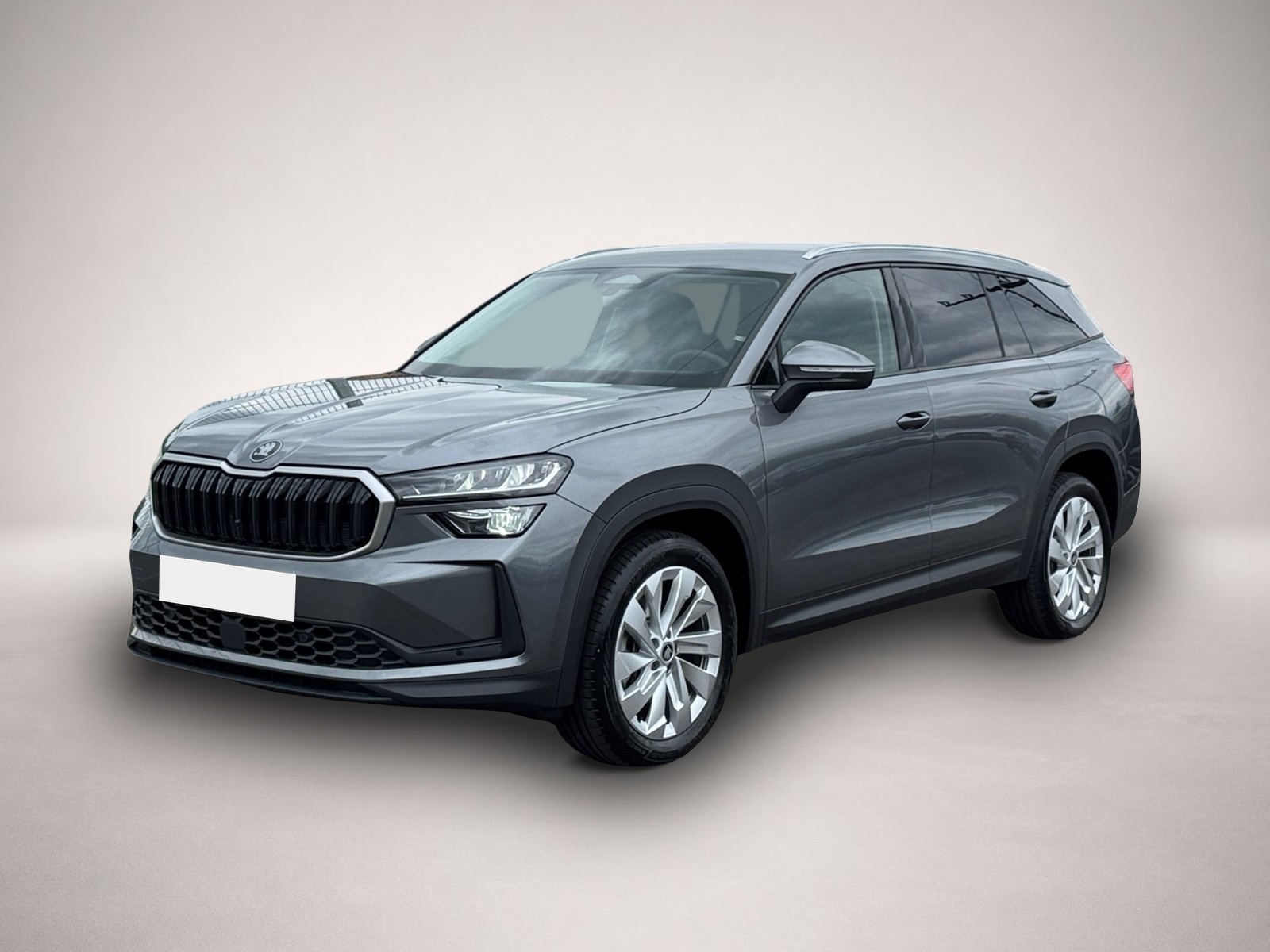 Bild Kodiaq Skoda