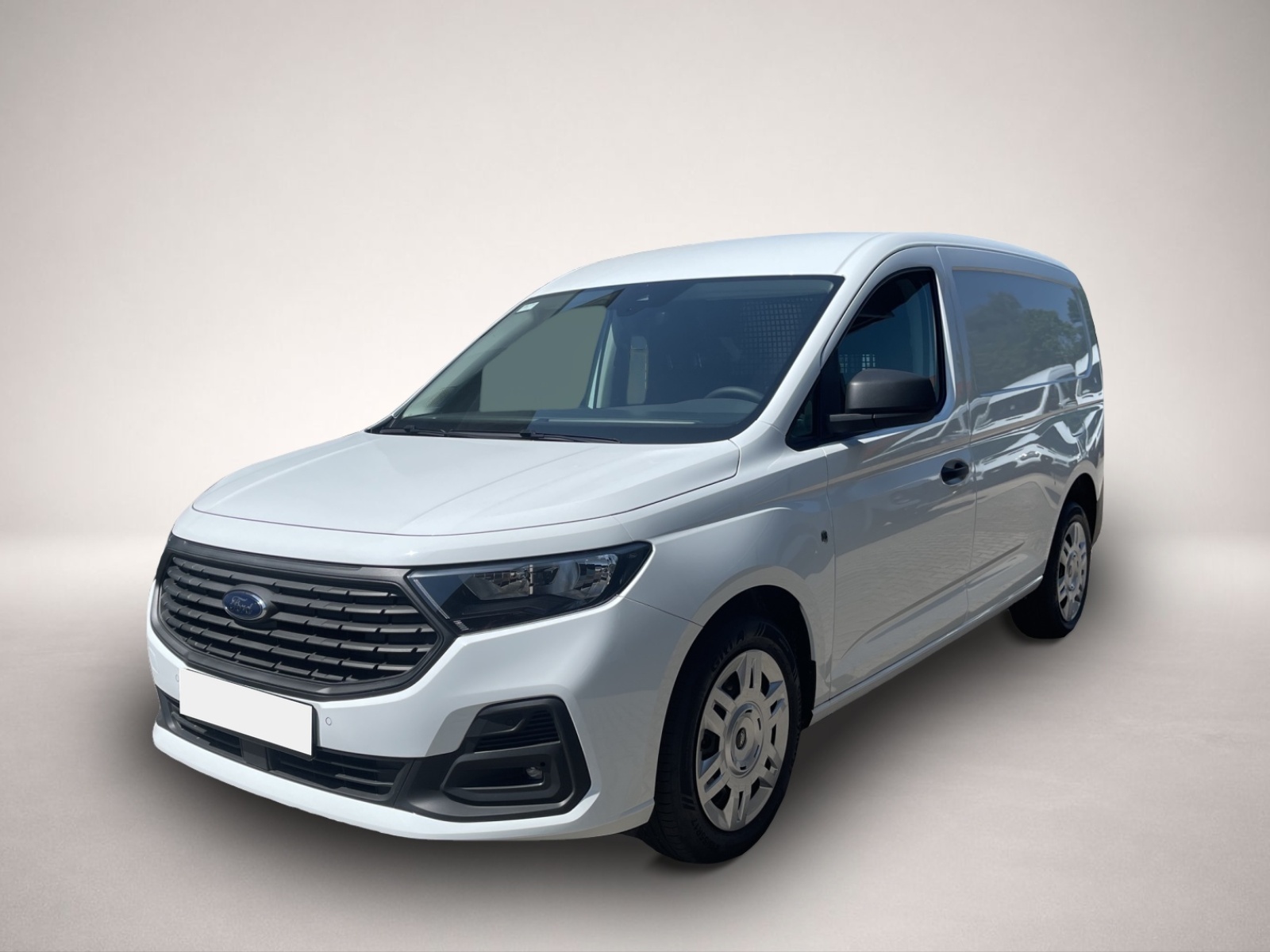 Other Ford