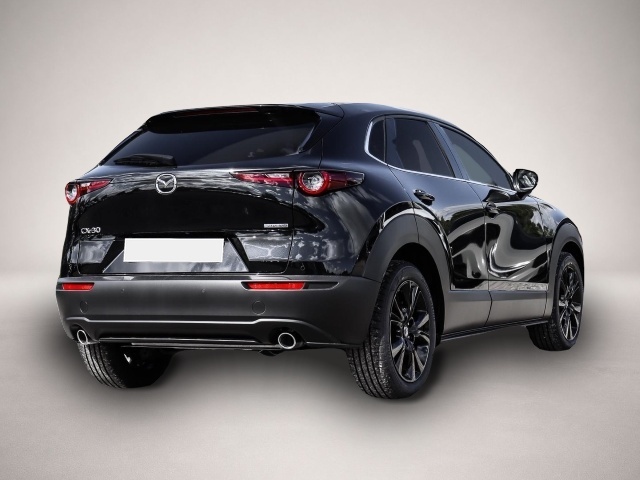 Fotografie 2 des Mazda CX-30 Homura FWD 2.5 e-SKYACTIV-G 140 6MT M-Hybr