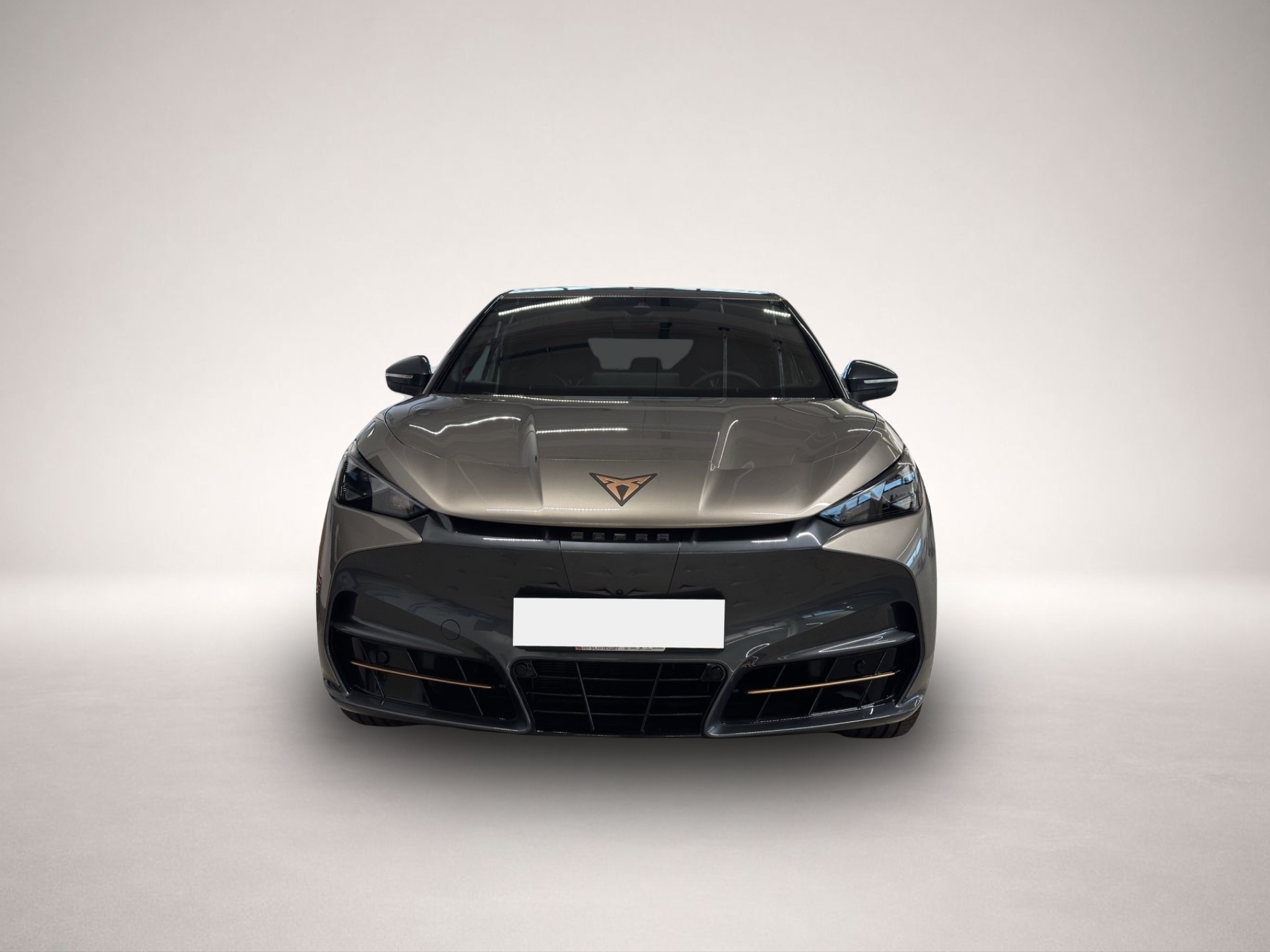 Fotografie 2 des Cupra Tavascan 4Drive VZ ab 449.-mtl OHNE Anzahlung MA