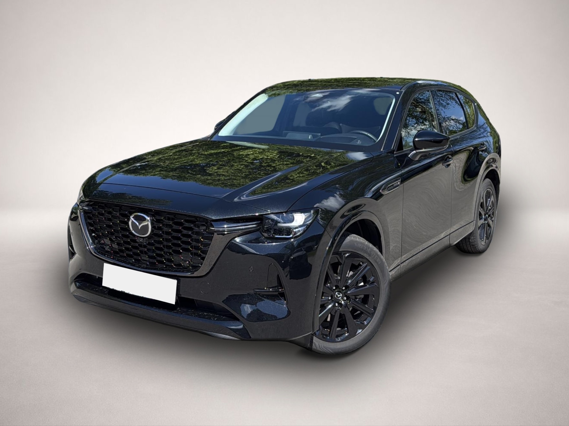 Fotografie Mazda CX-60 2.5 e-SKYACTIV PHEV Homura AWD Plug-In-Hyb