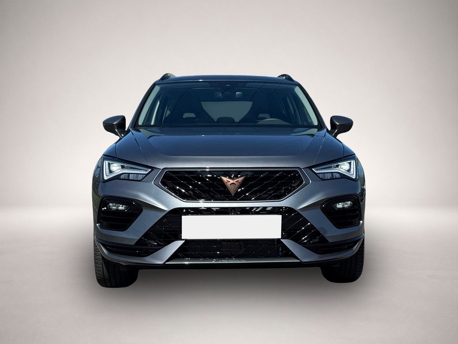 Bild 2 Cupra Ateca 4Drive TSI DSG|PANO|AHK|19