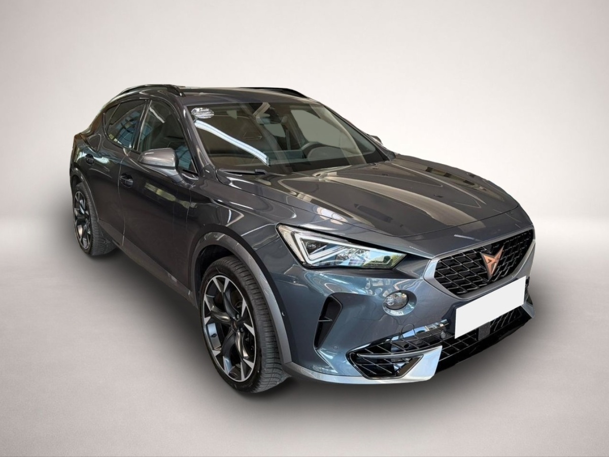 Fotografie 3 des Cupra Formentor VZ 2.0 TSI 4Drive LED Virtual ACC Beat