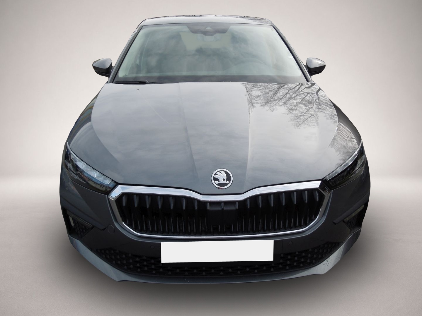 Bild 2 Skoda Scala 1.5TSI DSG TopSelection/LED/Navi/Sitzheizu