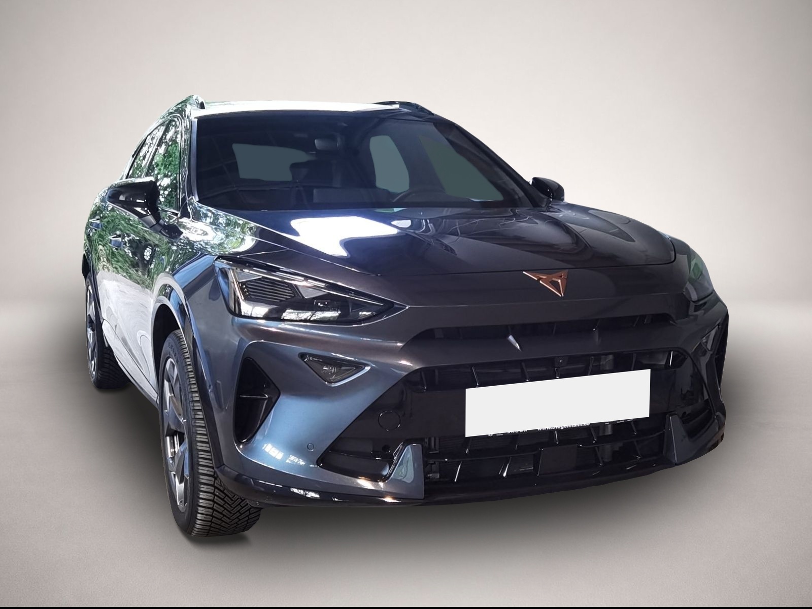 Bild 7 Cupra Formentor 1.5 eTSI DSG *AHK*LED*Navi*