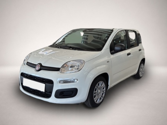 Bild 1 Fiat Panda Pandina 1.0 48 kW Icon Digitales Cockpit DAB Spu