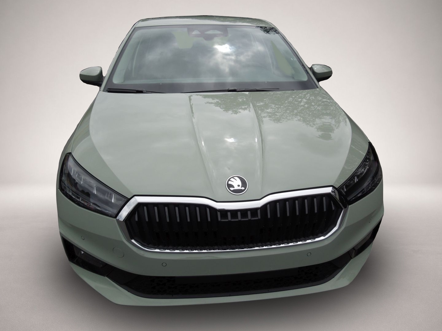 Bild 2 Skoda Fabia 1.0 TSI Classic/LED/Sitzheizung/Kamera/MFL