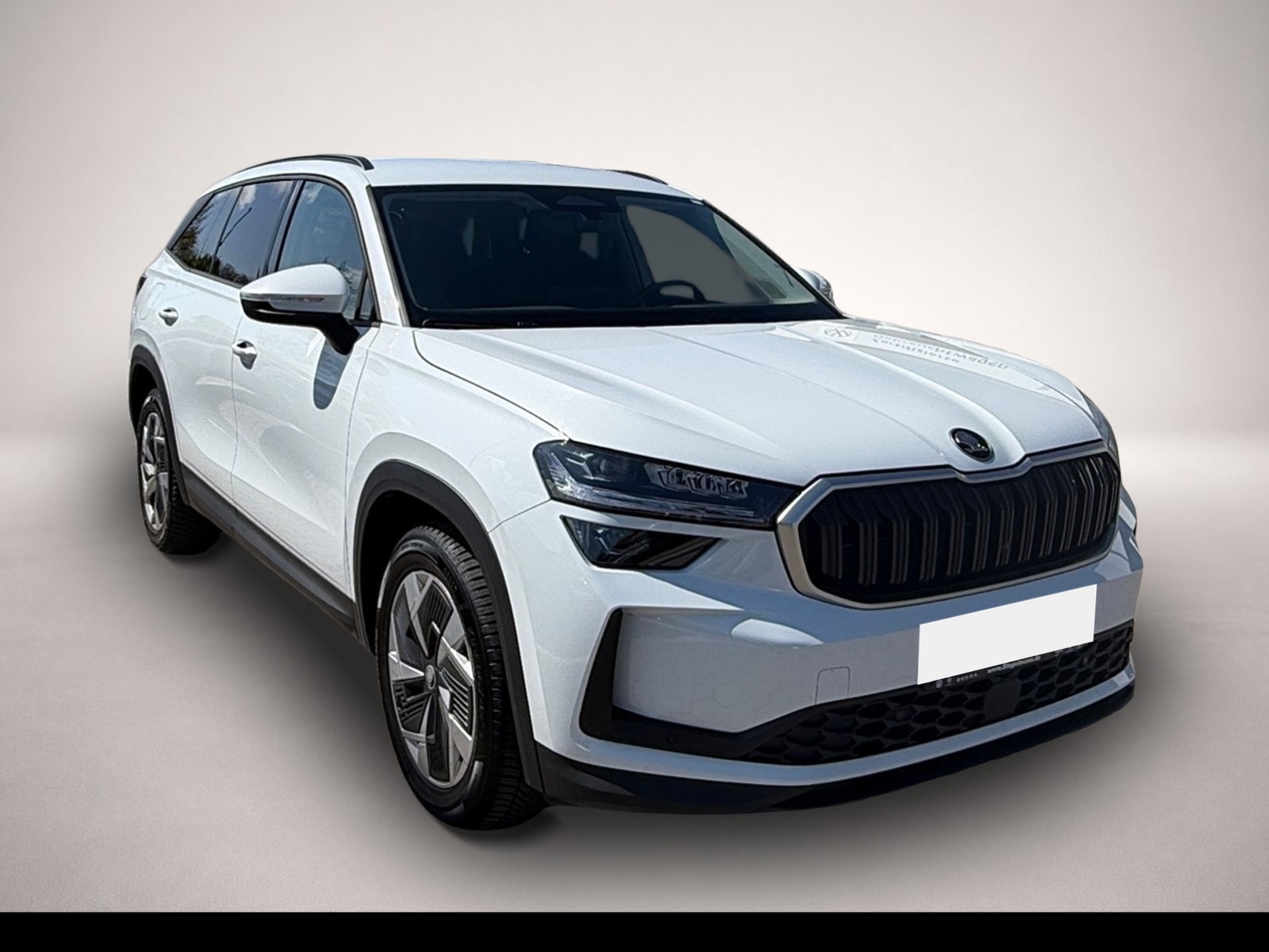 Bild 7 Skoda Kodiaq 2.0 TSI DSG 4x4 Selection 7-Sitzer *AHK*L