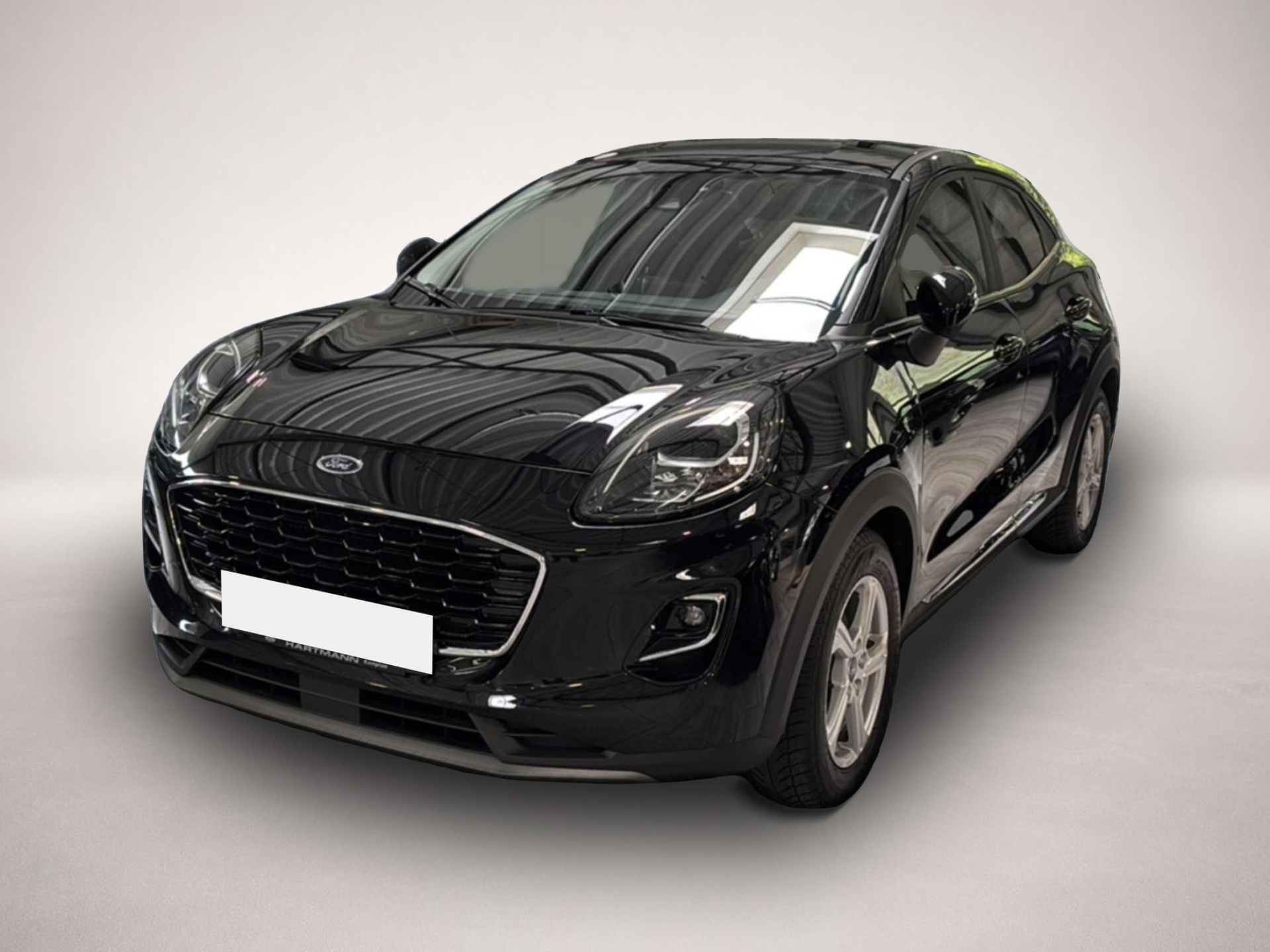 Bild Puma Ford