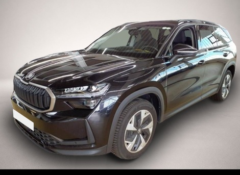 Bild Kodiaq Skoda