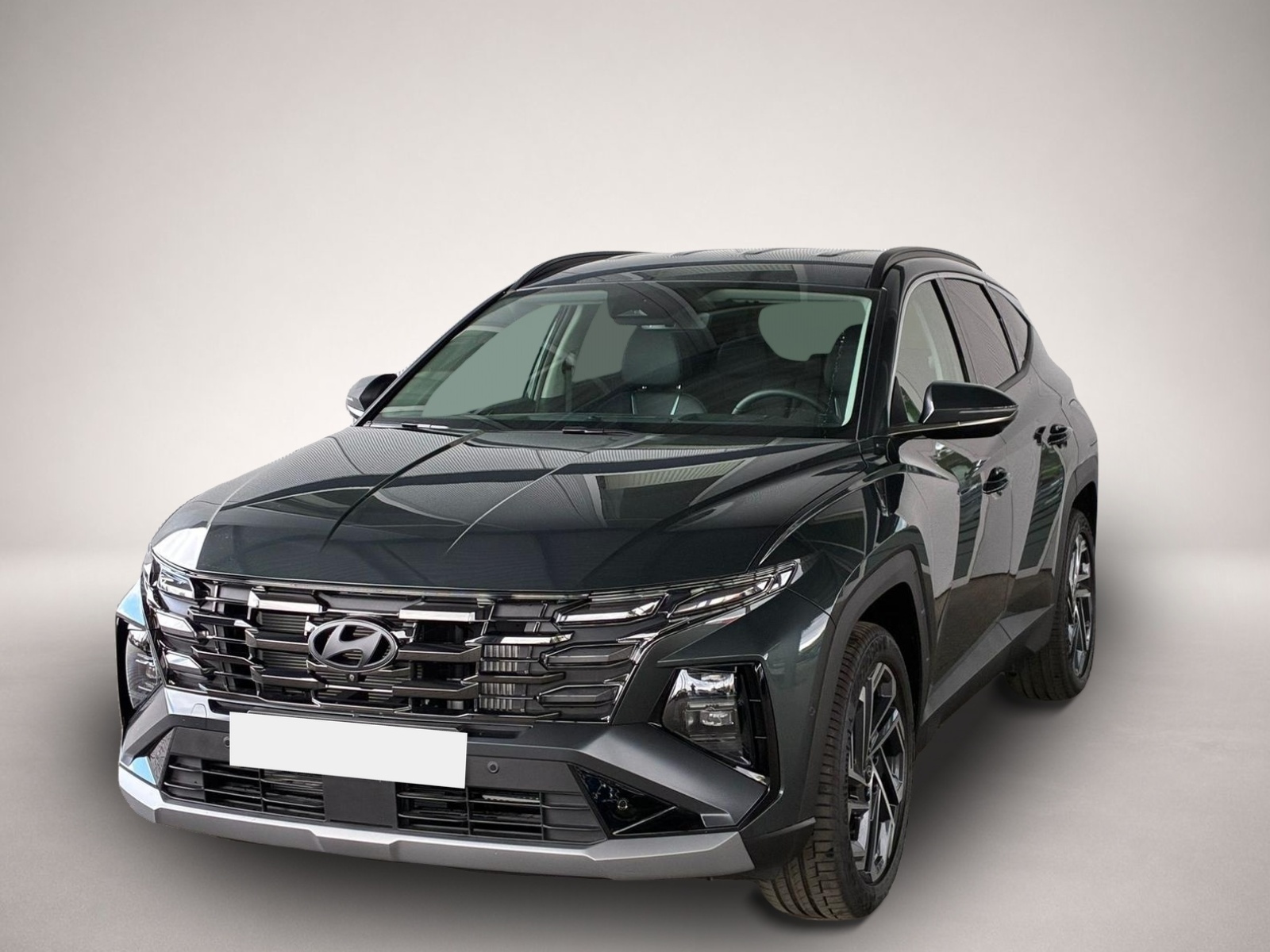 Bild 1 Hyundai Tucson 1.6 T-GDI 6MT Luxury / Head Up / 360° Kam