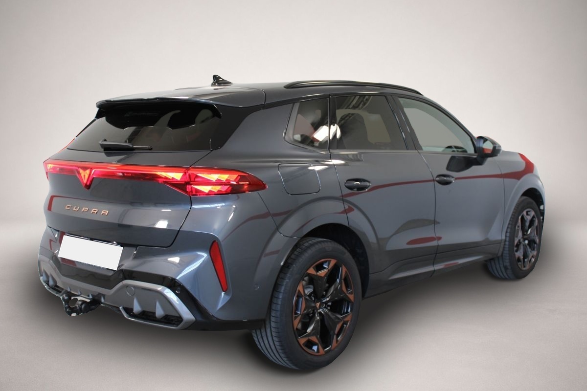 Bild 3 Cupra Terramar 2.0 TSI 7-Gang DSG 4x4