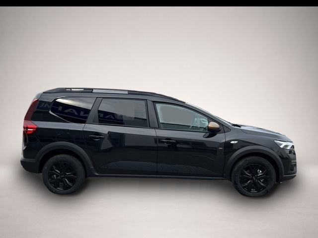 Bild Jogger Dacia