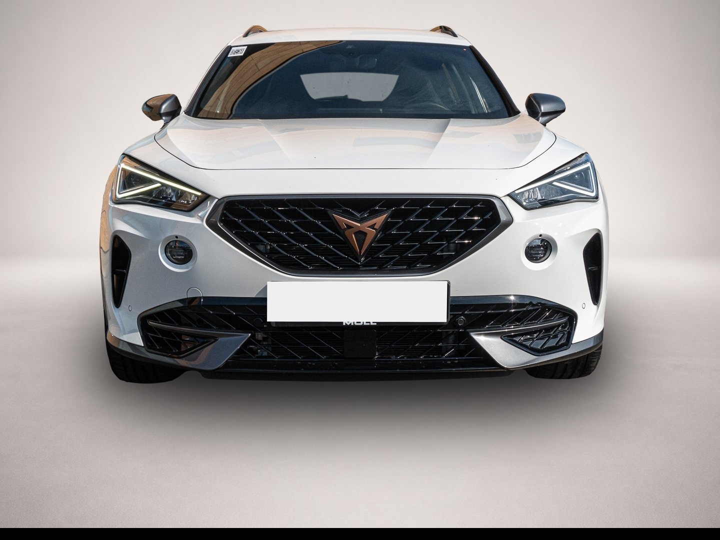 Bild 2 Cupra Formentor 2.0 TSI VZ DSG - Akrapovic - ACC FLA