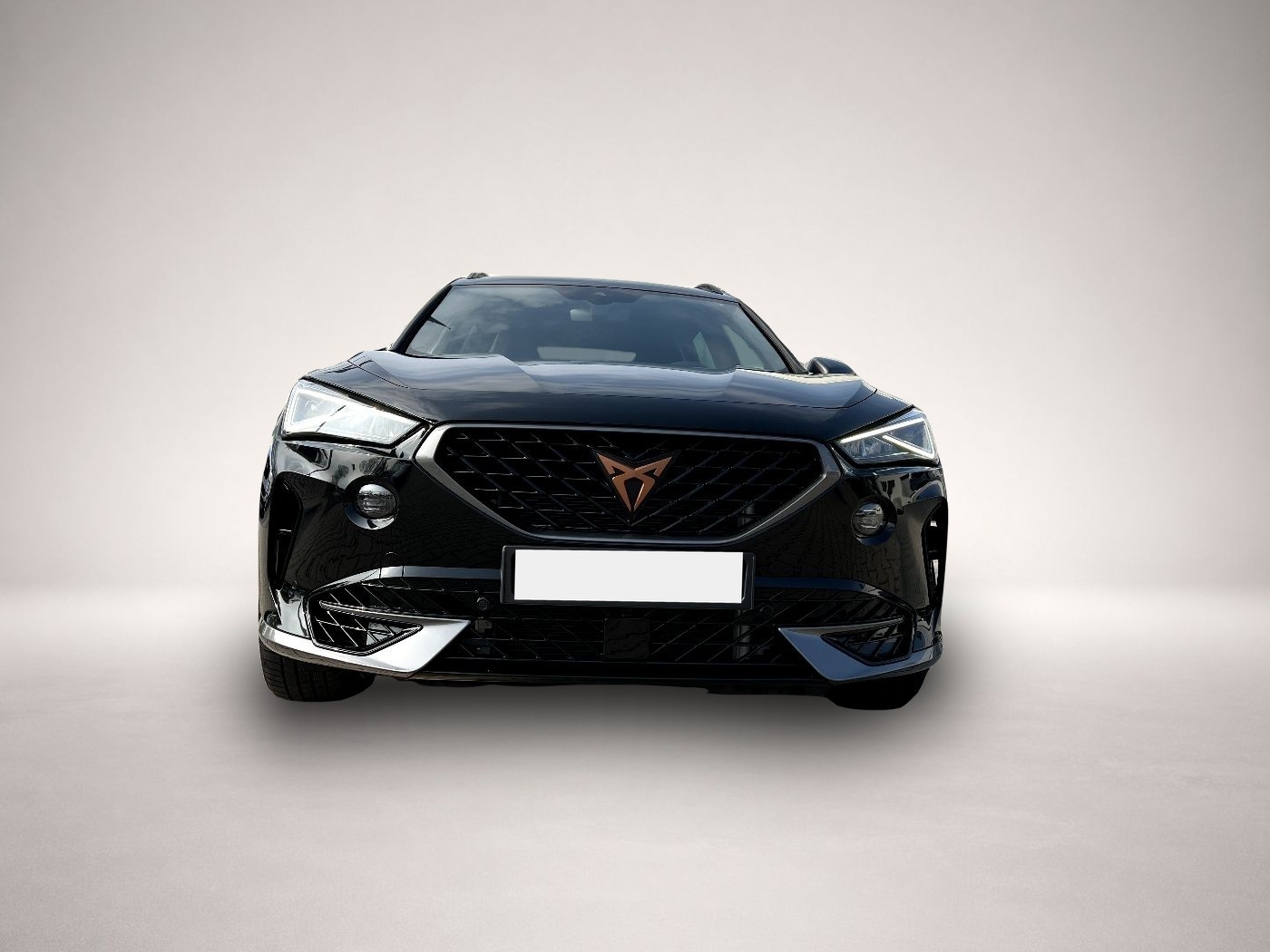 Bild 6 Cupra Formentor VZ 2.0 TSI 4Drive *LED Navi Leder ACC*