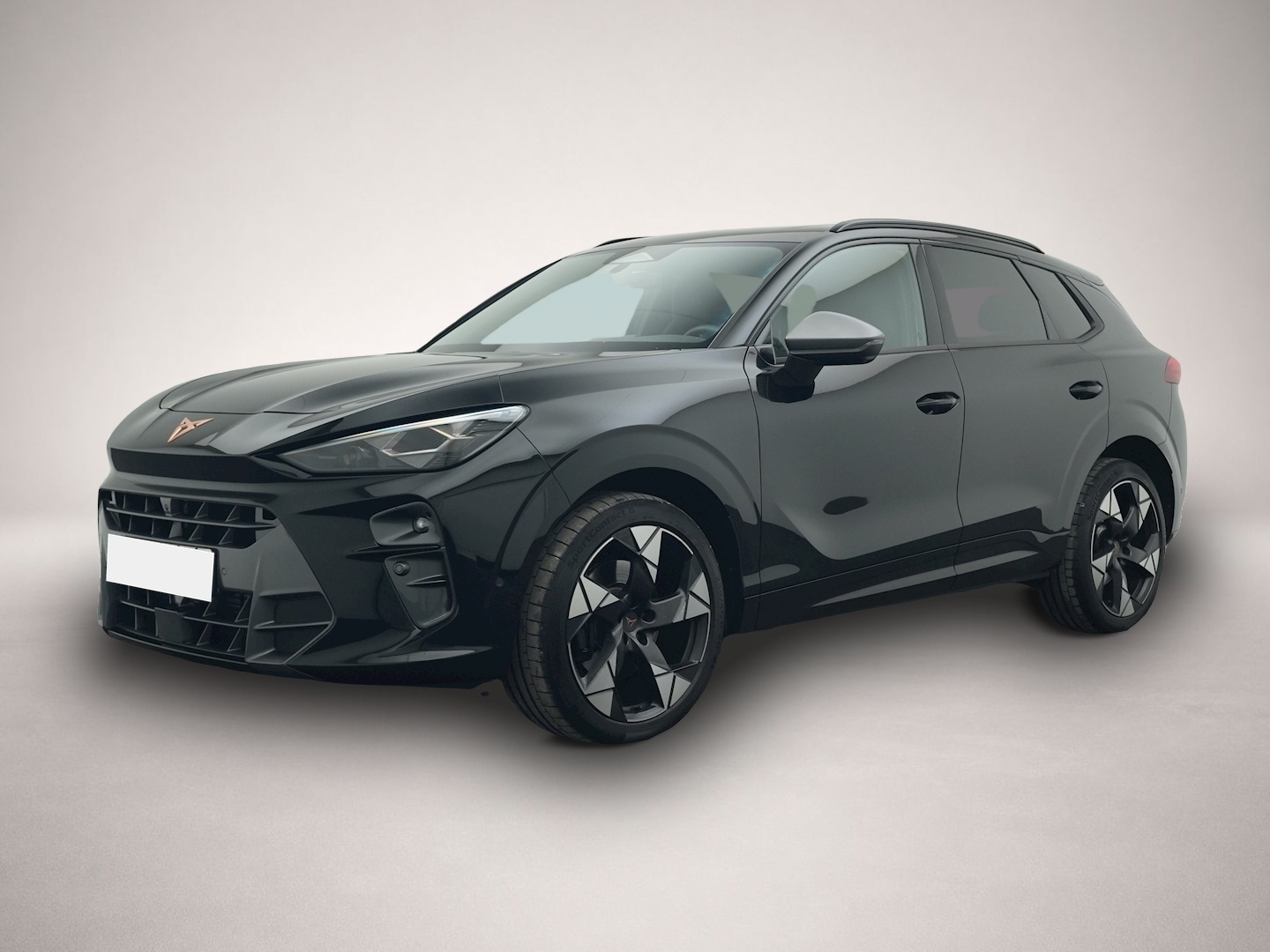 Bild Terramar Cupra