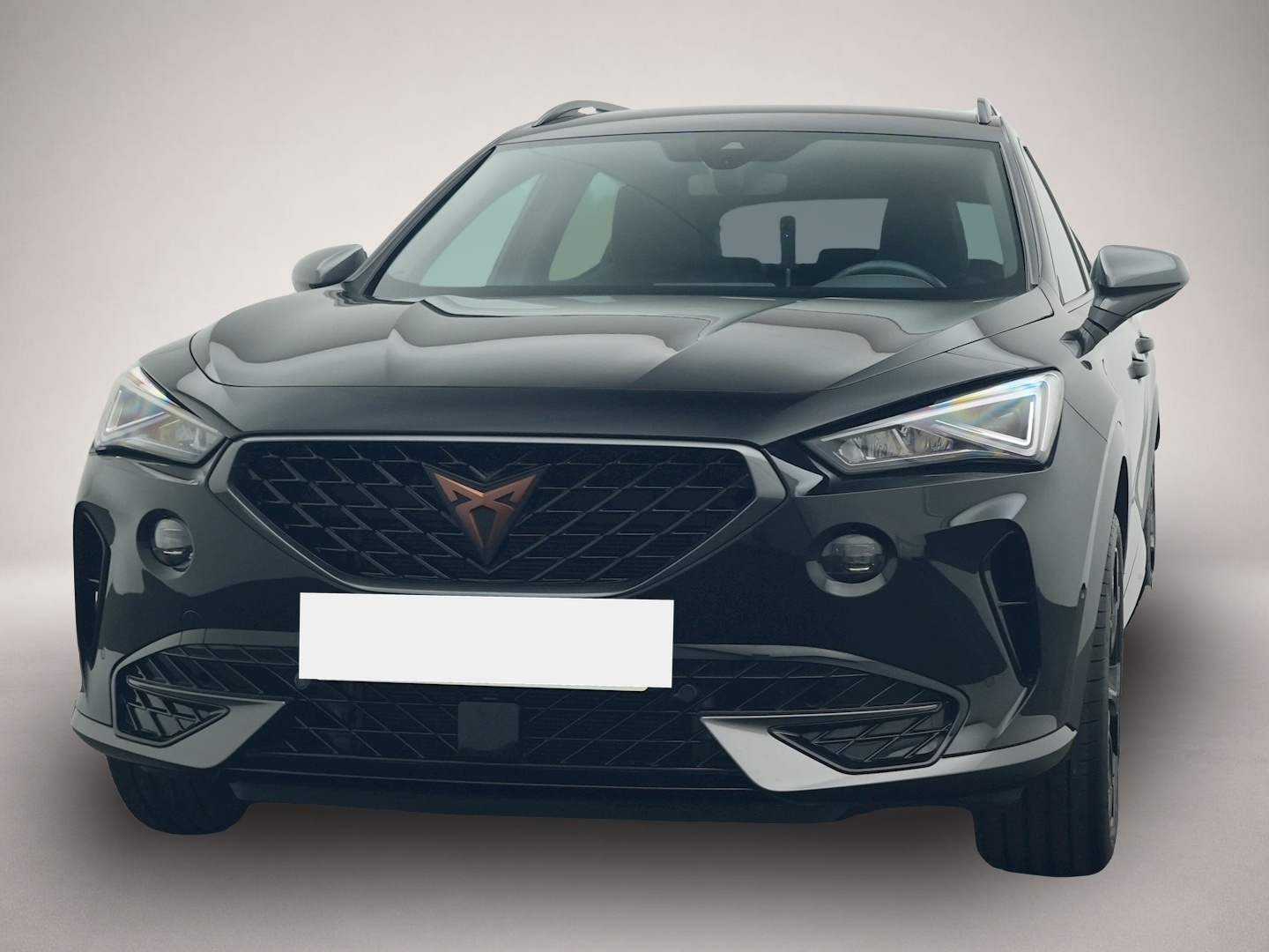 Bild 8 Cupra Formentor 1.5 TSI DSG KAMERA NAVI LED ACC ALU 19