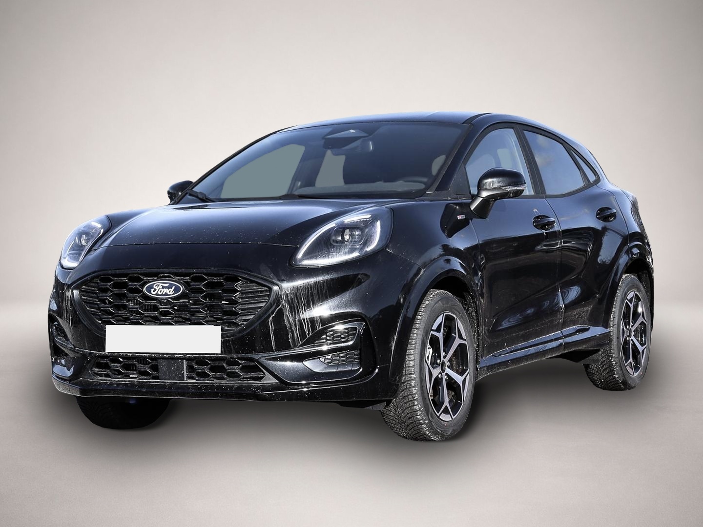 Bild Puma Ford