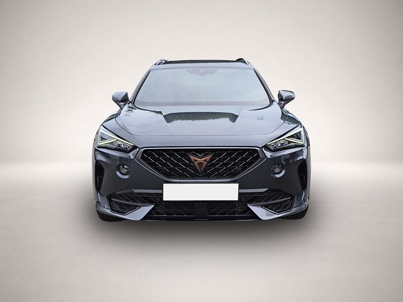 Bild 2 Cupra Formentor 1.5 TSI LED NAVI KAMERA PARKLENK 18 SH