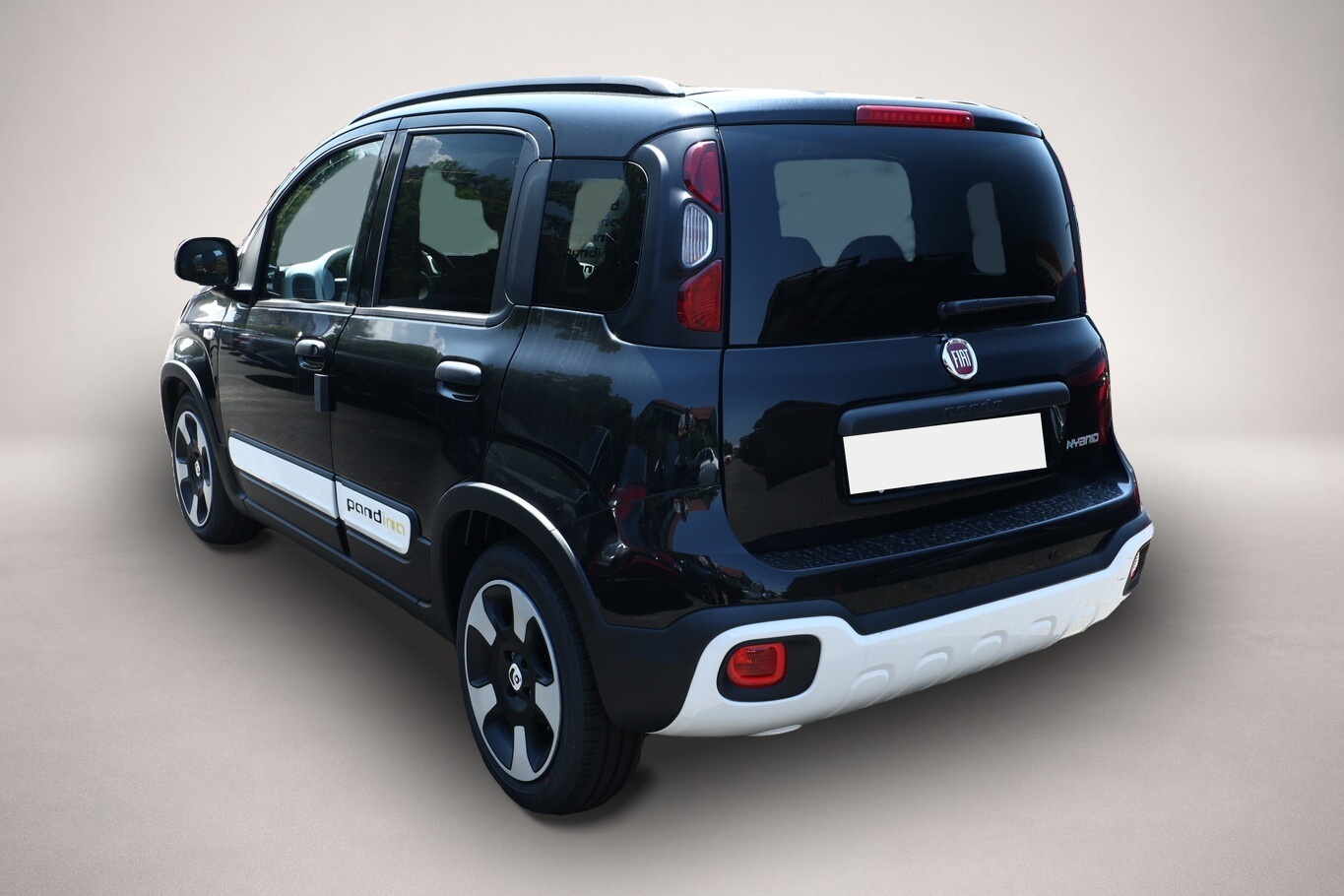 Bild 4 Fiat Panda Cross 5S PDC CarP/AndroidA PrivG 15Z NSW