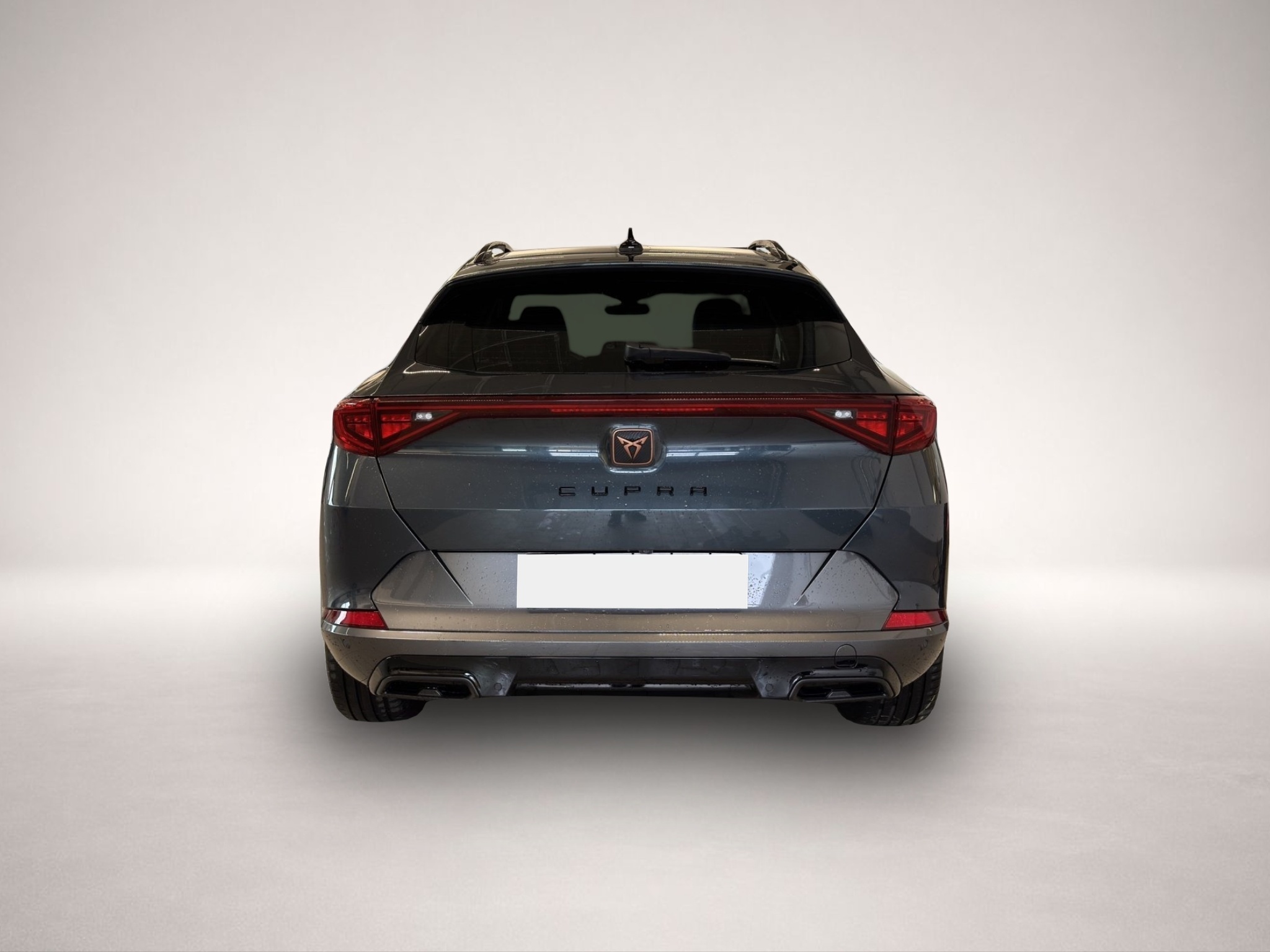 Fotografie 5 des Cupra Formentor 2.0 TDI DSG 4Drive Standheizung+Pano+A
