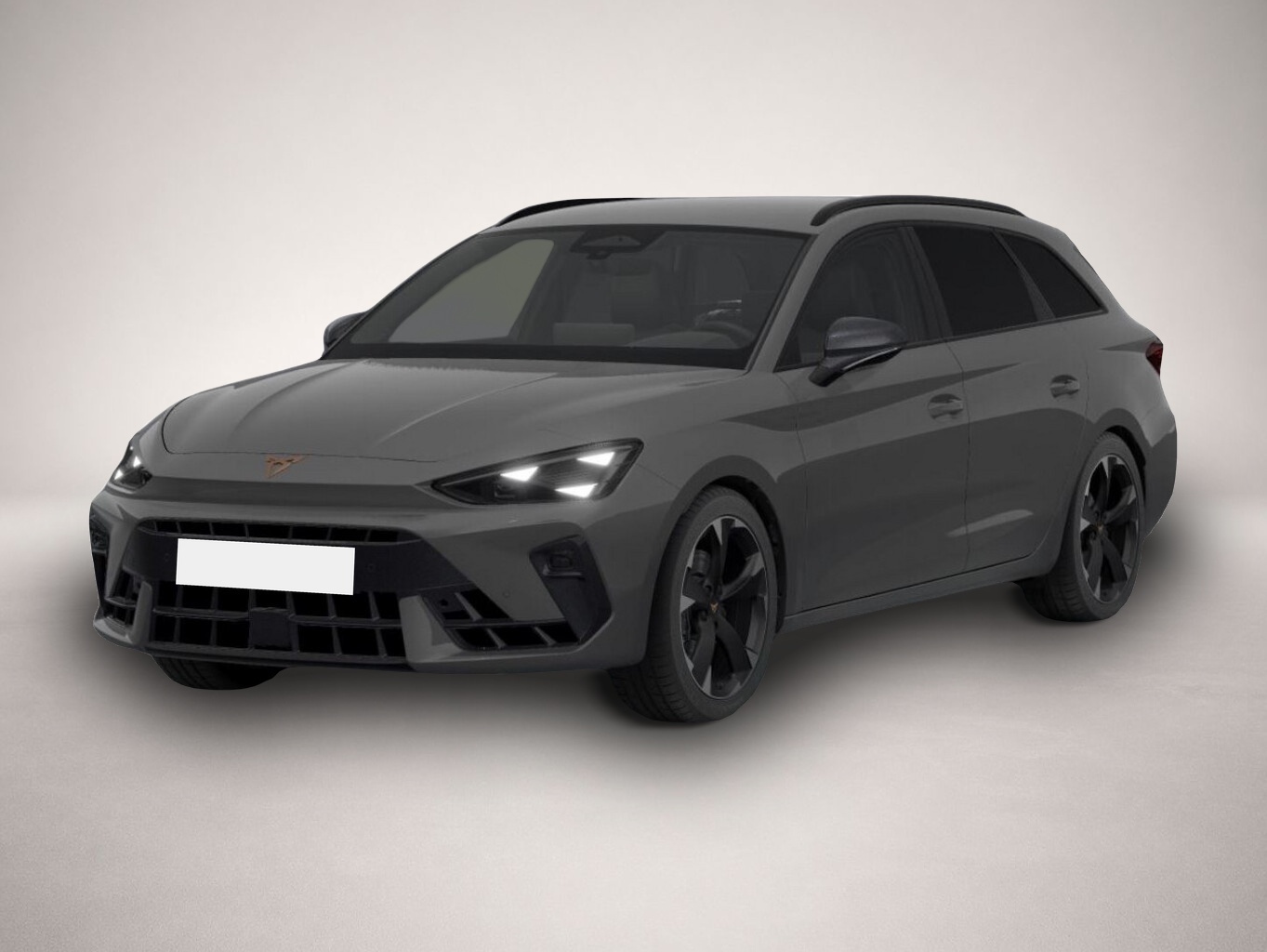 Bild Leon Cupra