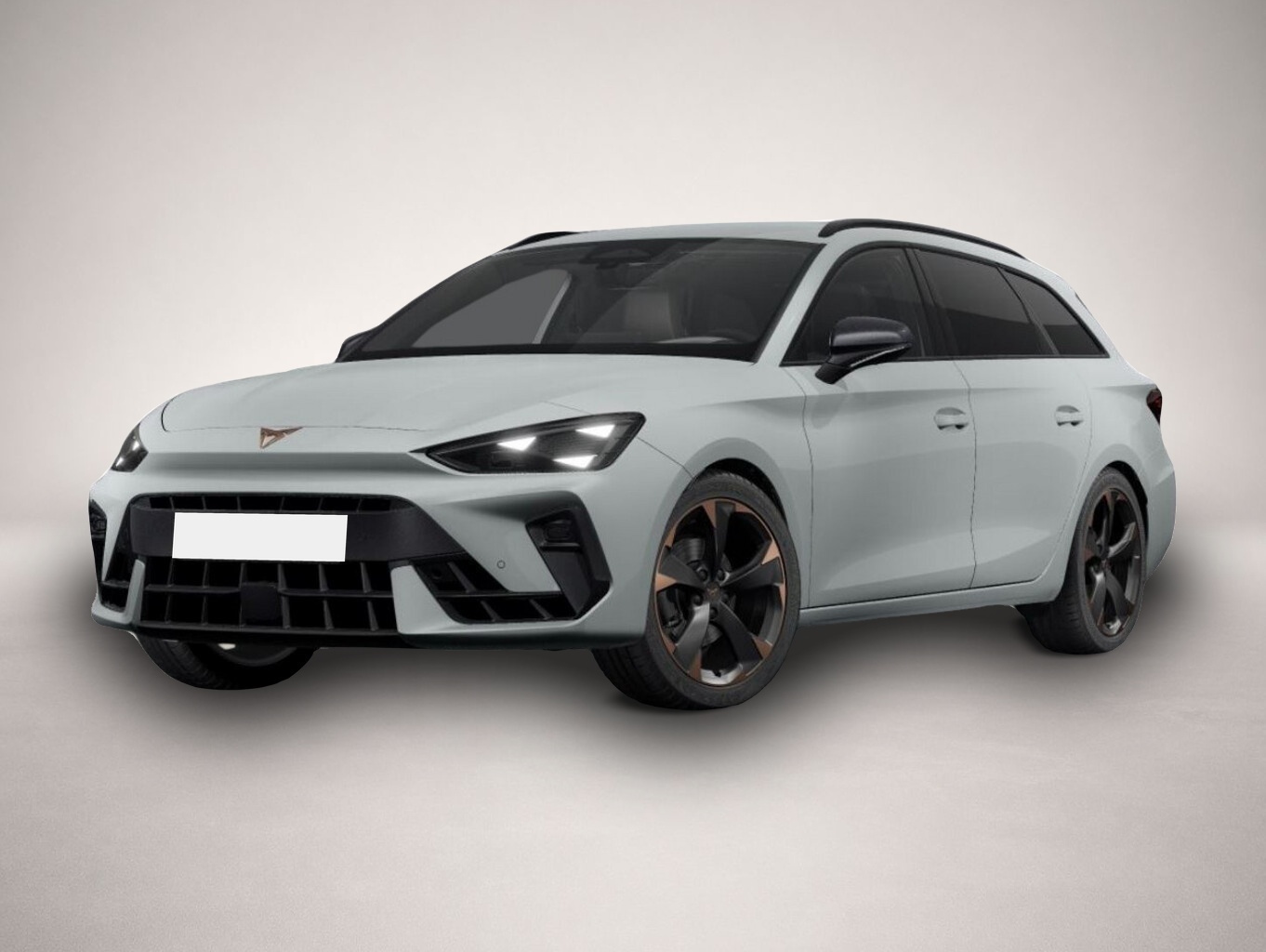 Bild Leon Cupra