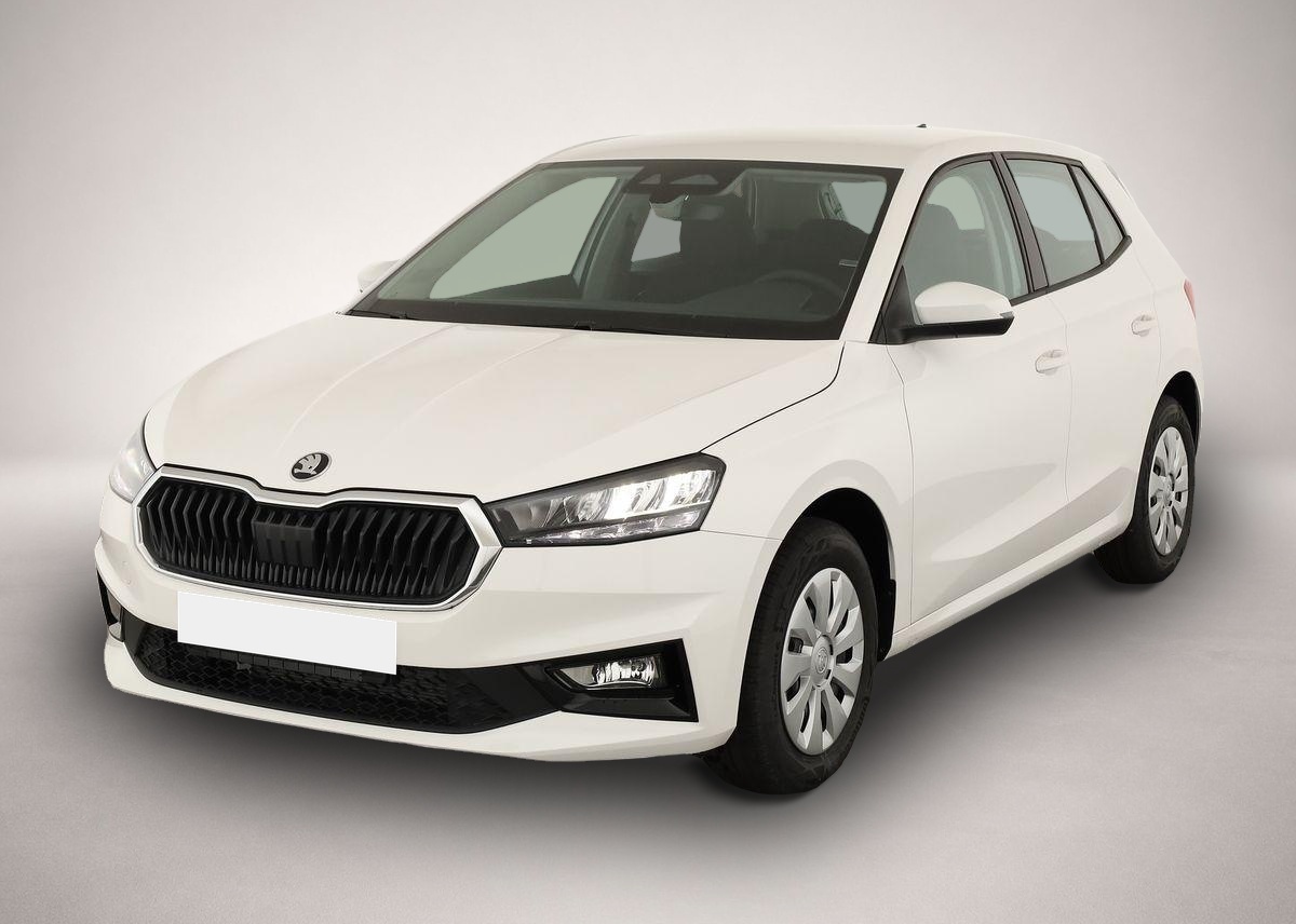 Bild 1 Skoda Fabia 1.0 TSI Selection, Park, Winterpaket, Smar
