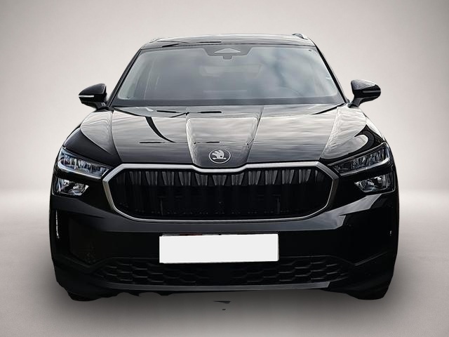 Bild Kodiaq Skoda