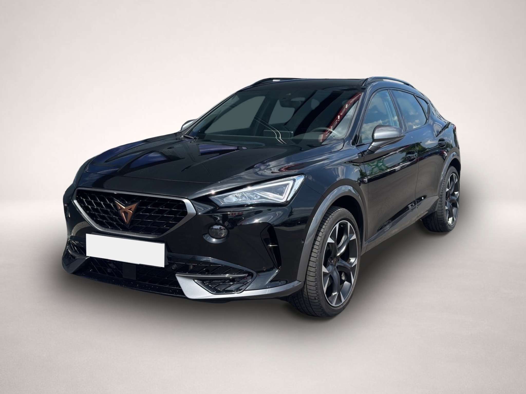 Fotografie Cupra Formentor 2.0 TSI DSG 4Drive VZ LED NAVI ACC SID
