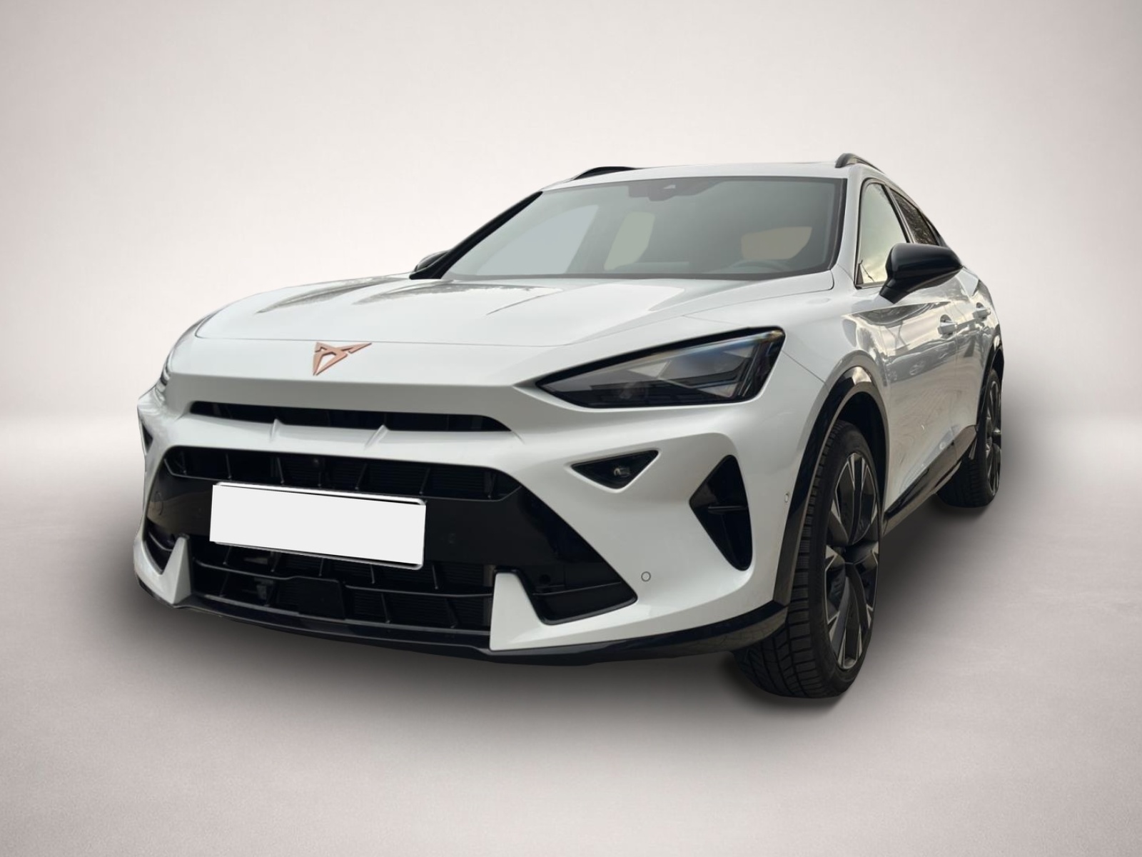 Bild 1 Cupra Formentor 2.0 TSI DSG AB369EUR VZ AHK PANO MATRI