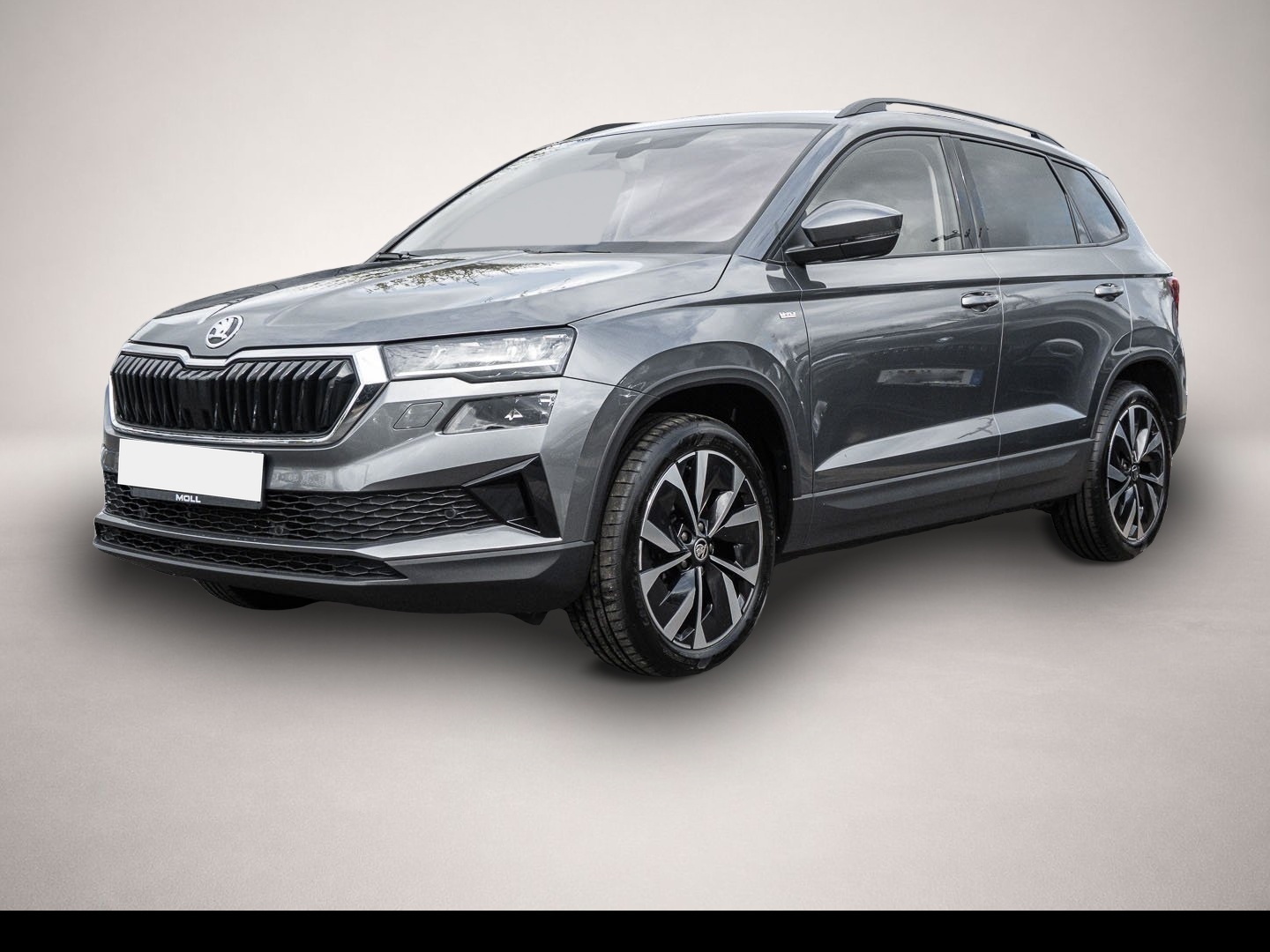 Bild 1 Skoda Karoq 1.5 TSI DSG Ambition Tour