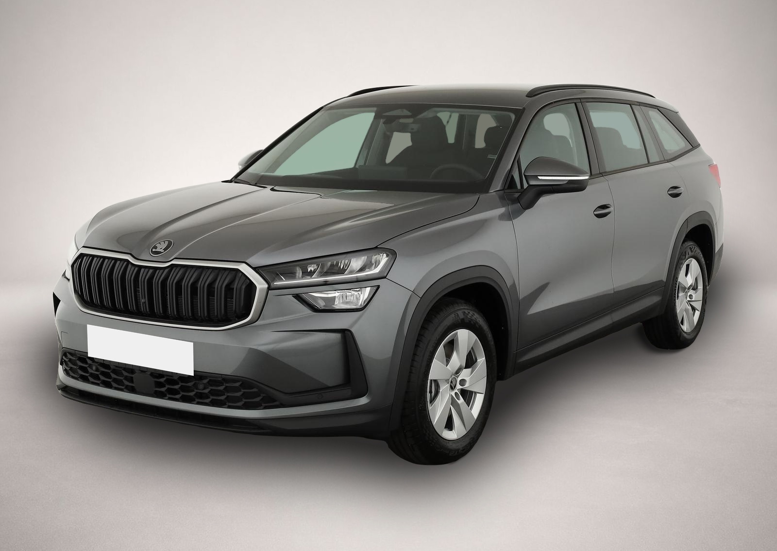 Bild Kodiaq Skoda