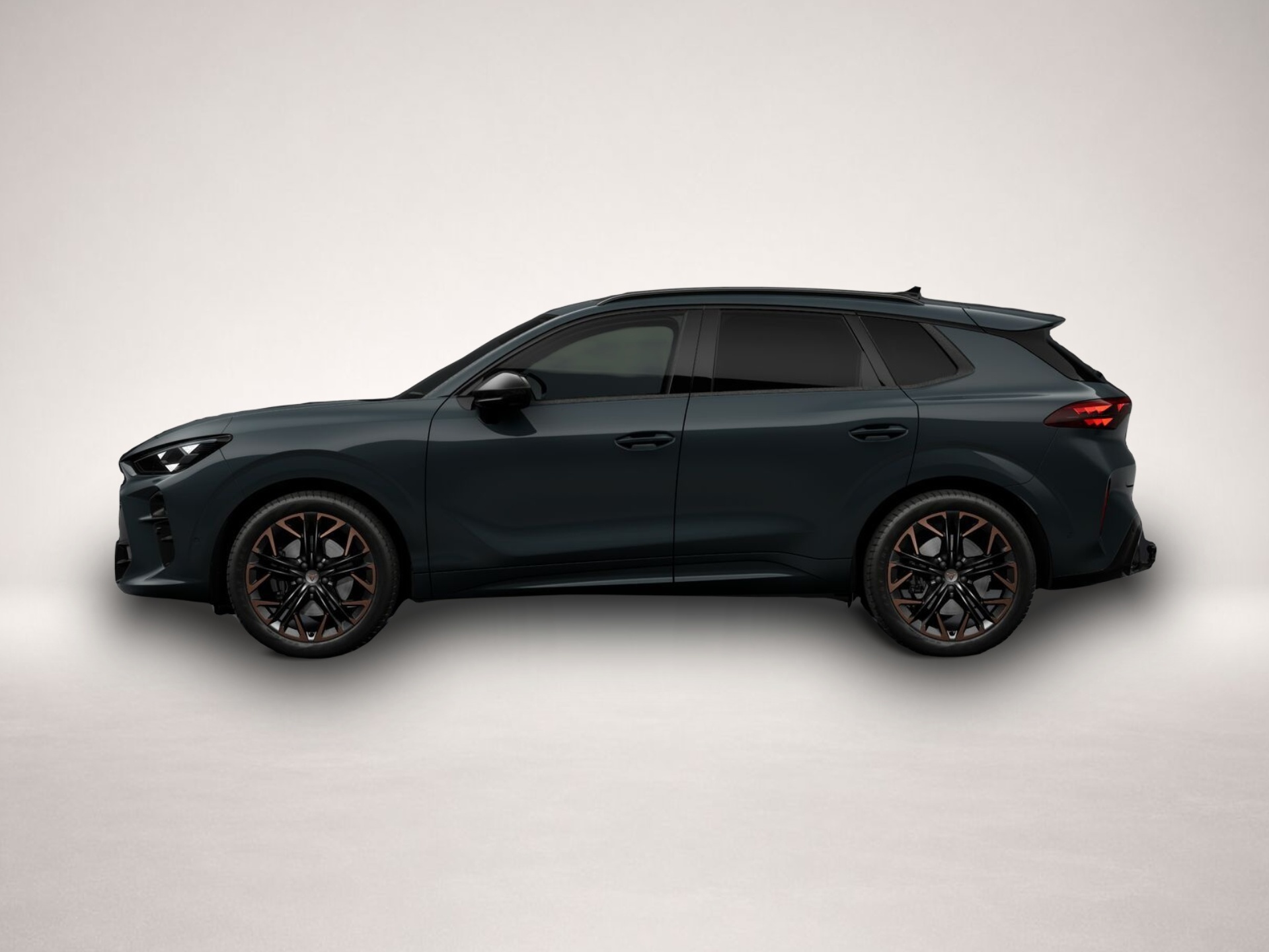 Bild 2 Cupra Terramar 2.0 TSI 7-Gang-DSG 4Drive