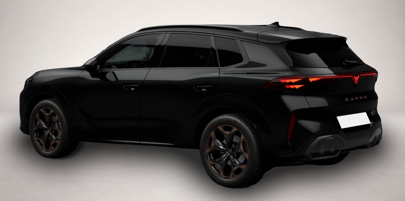 Bild 4 Cupra Terramar DSG Matrix IntelliD Dinamica Edge 360°