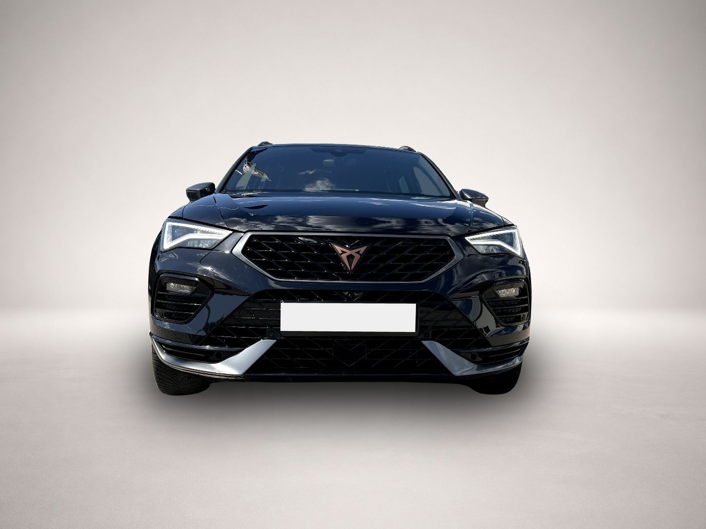 Bild 6 Cupra Ateca VZ 4Drive *LED Navi Leder AHK ACC 360 DAB*