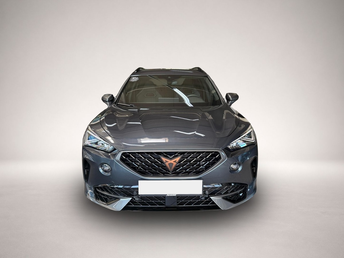 Fotografie 2 des Cupra Formentor VZ 2.0 TSI 4Drive LED Virtual ACC Beat