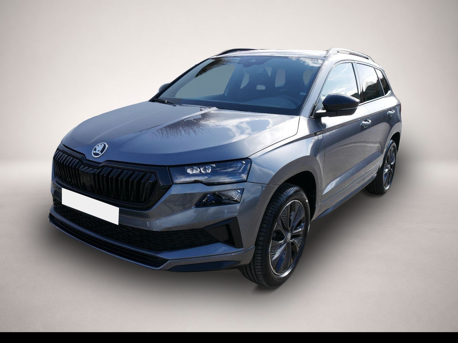 Bild Karoq Skoda