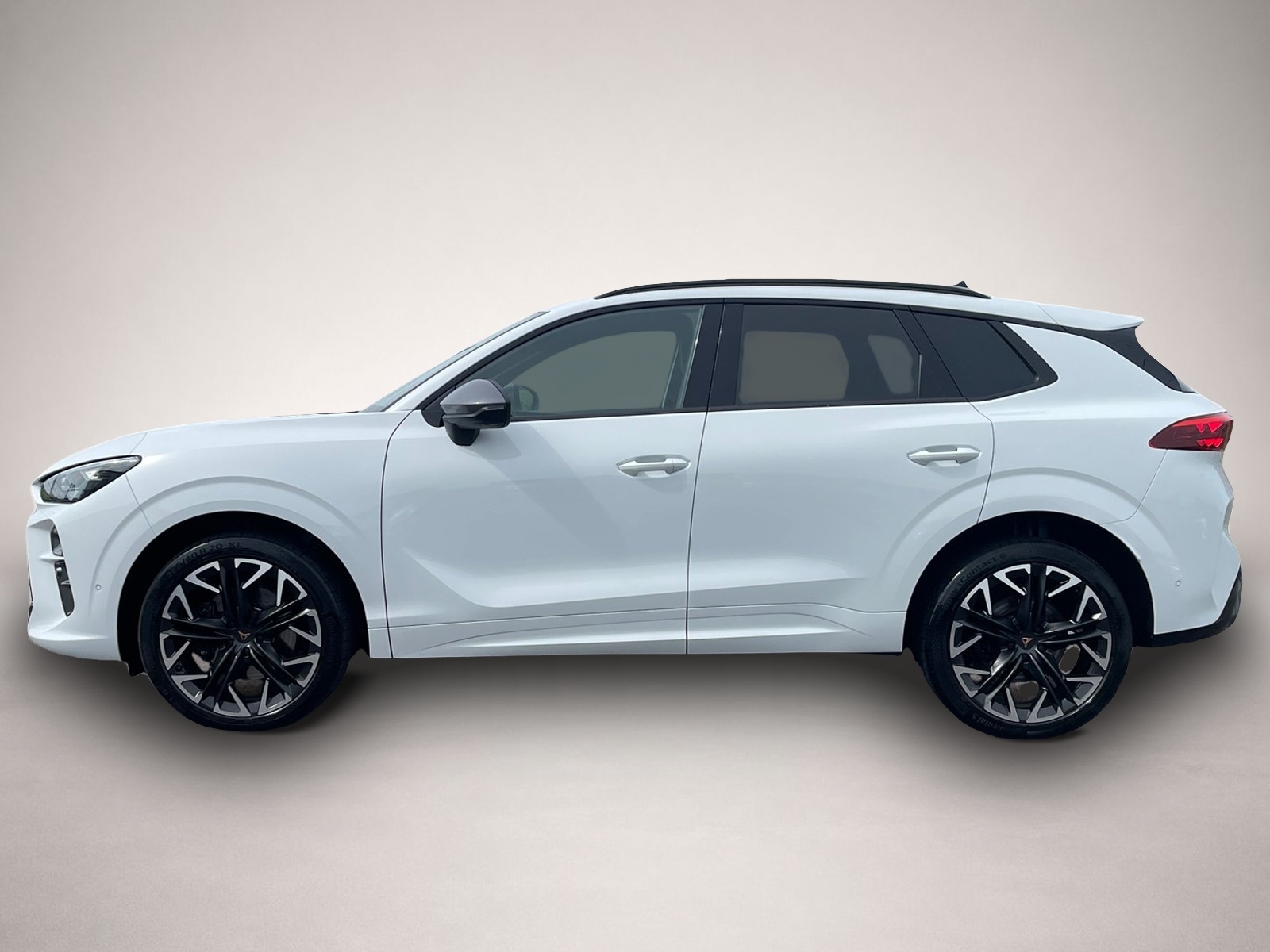 Bild 3 Cupra Terramar VZ 4Drive TSI DSG|AHK|PANO|360°|HEAD-UP