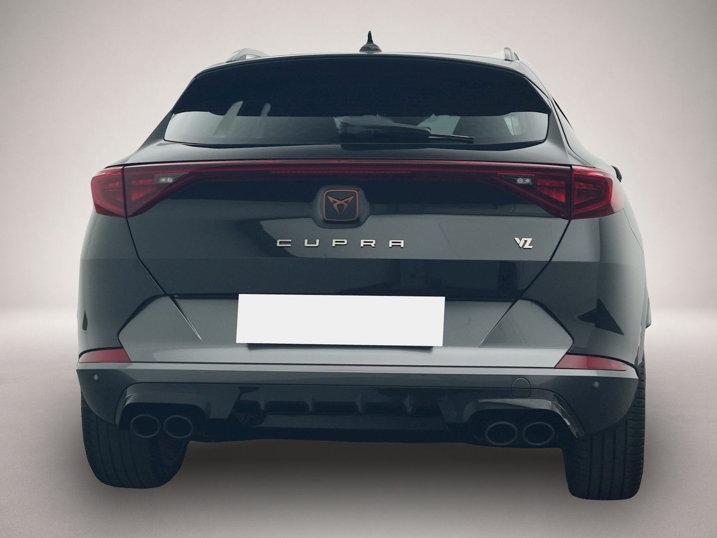 Fotografie 4 des Cupra Formentor 2.0 TSI DSG 4Dr. VZ AHK DCC 360-KAM
