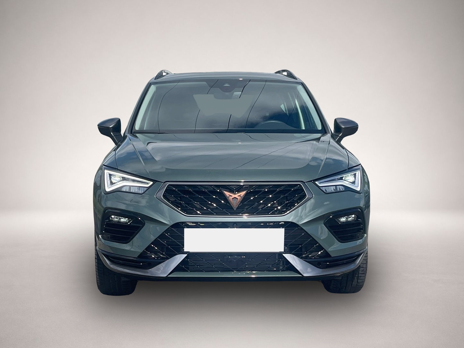 Bild 2 Cupra Ateca 4Drive TSI DSG|PANO|AHK|19